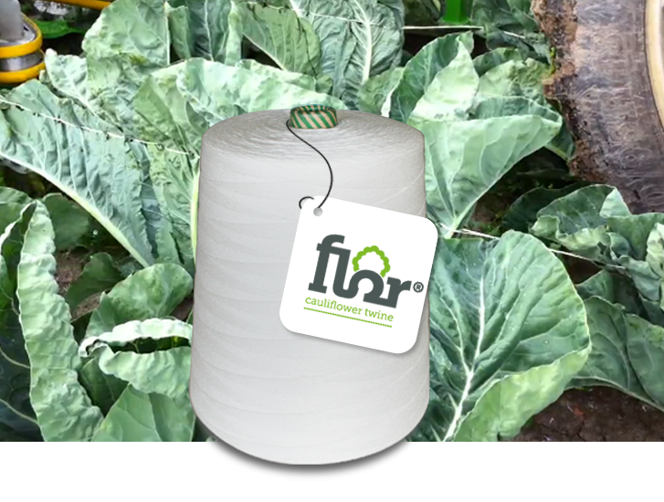 Flortwine biodegradable twine cone